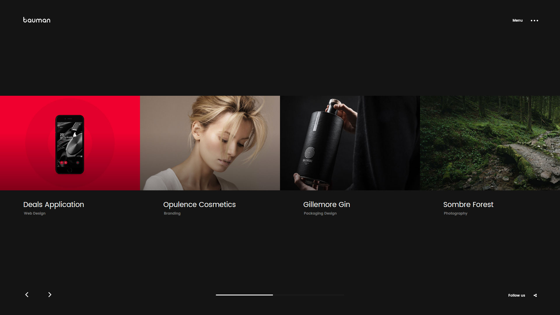 Bauman Wordpress Portfolio Theme
