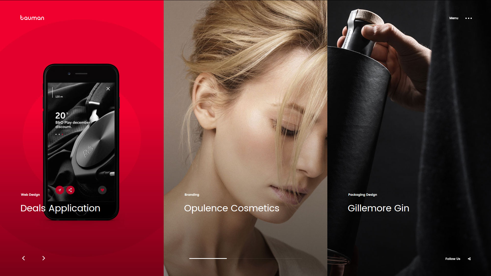 Bauman Wordpress Portfolio Theme