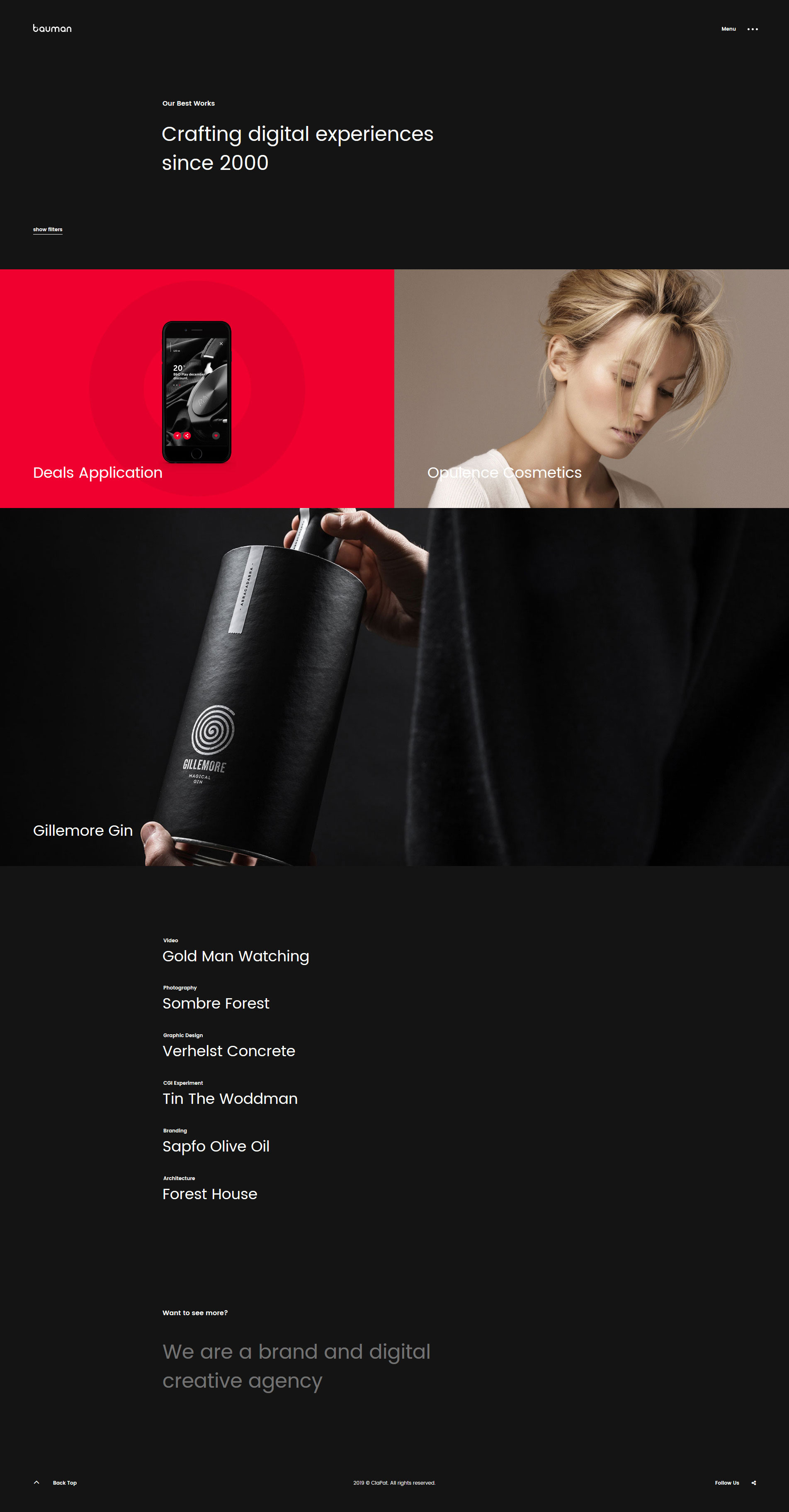 Bauman Wordpress Portfolio Theme