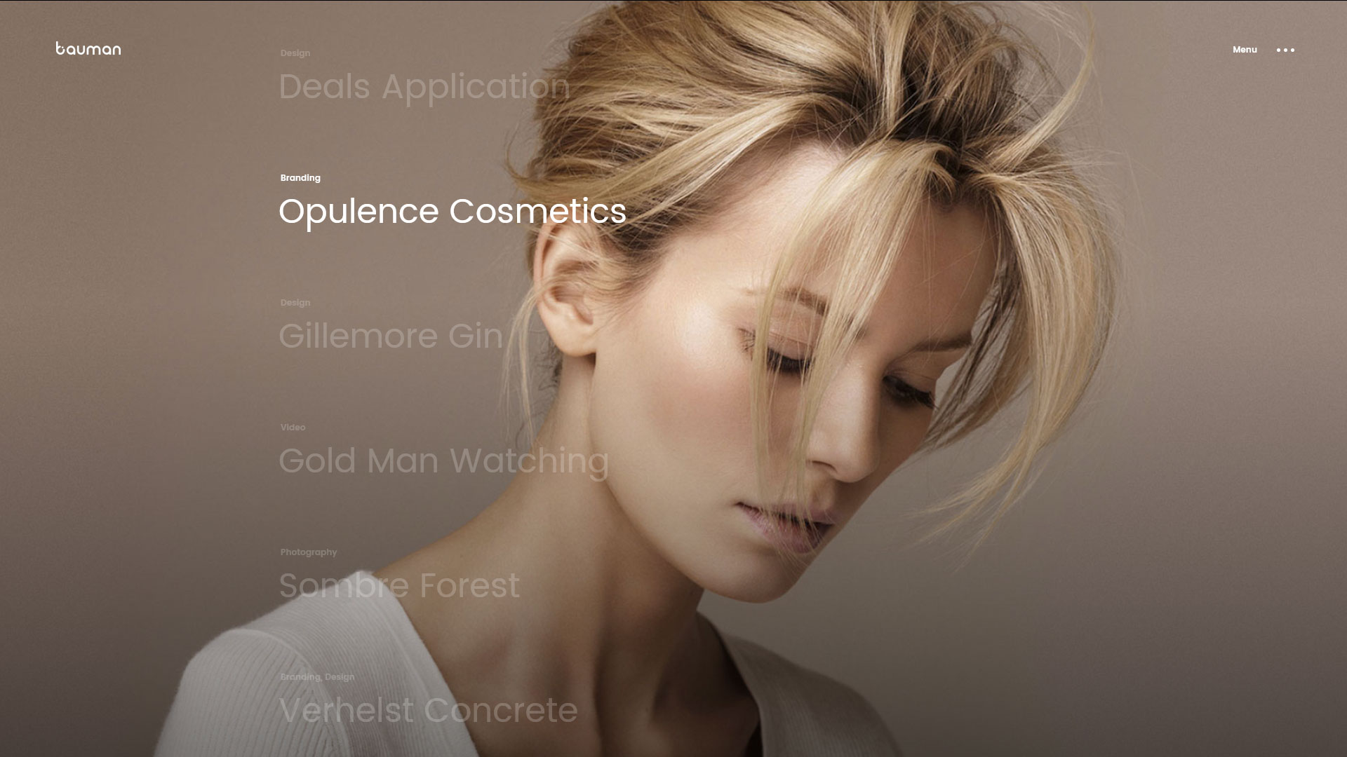 Bauman Wordpress Portfolio Theme